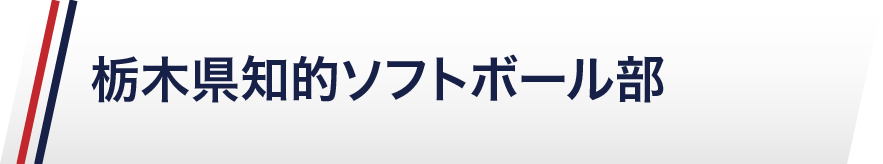 栃木県知的ソフトボール部